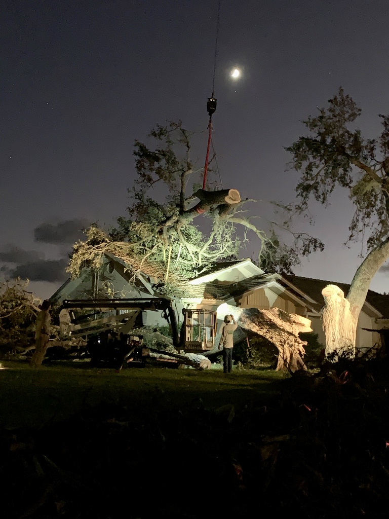 large tree fallen onto a roof and patio of one story home