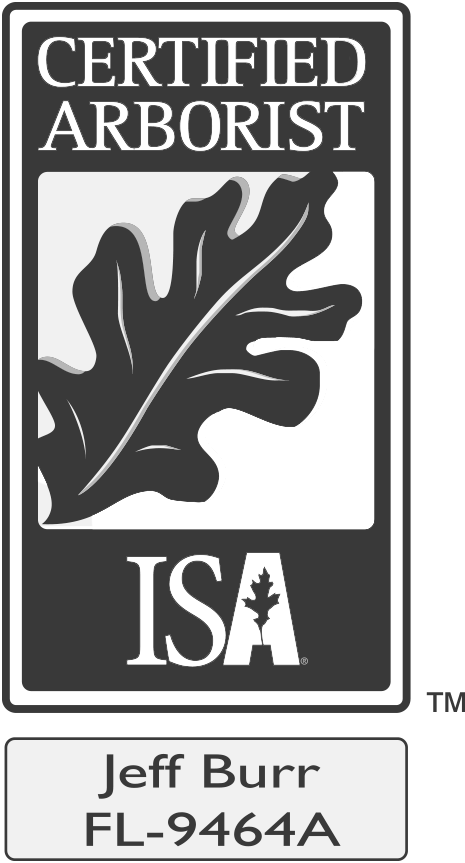 ICA Certified Arborist